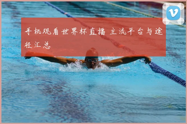 手机观看世界杯直播 主流平台与途径汇总