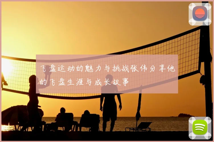 飞盘运动的魅力与挑战张伟分享他的飞盘生涯与成长故事