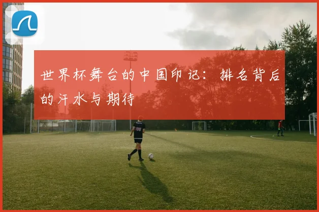 世界杯舞台的中国印记：排名背后的汗水与期待