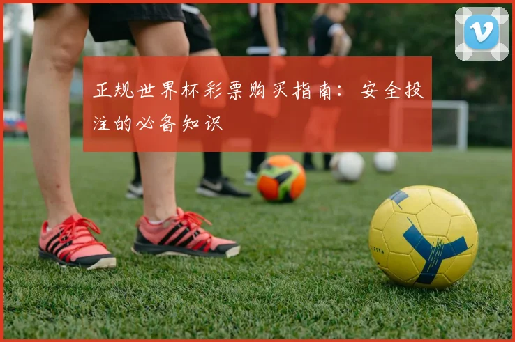 正规世界杯彩票购买指南：安全投注的必备知识