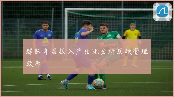 球队年度投入产出比分析反映管理效率