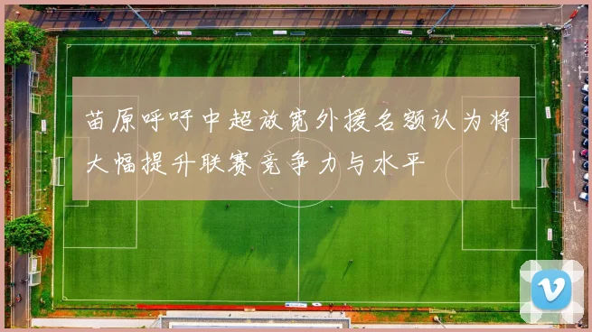 苗原呼吁中超放宽外援名额认为将大幅提升联赛竞争力与水平