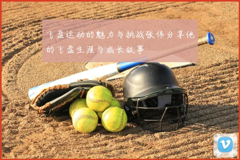 飞盘运动的魅力与挑战张伟分享他的飞盘生涯与成长故事