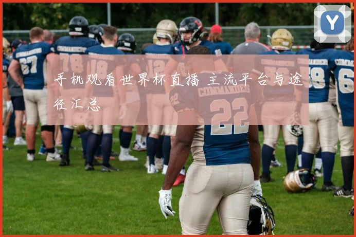 手机观看世界杯直播 主流平台与途径汇总