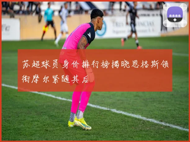 苏超球员身价排行榜揭晓恩格斯领衔摩尔紧随其后