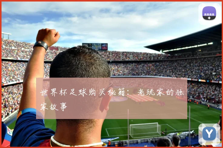 世界杯足球购买秘籍：老玩家的独家故事
