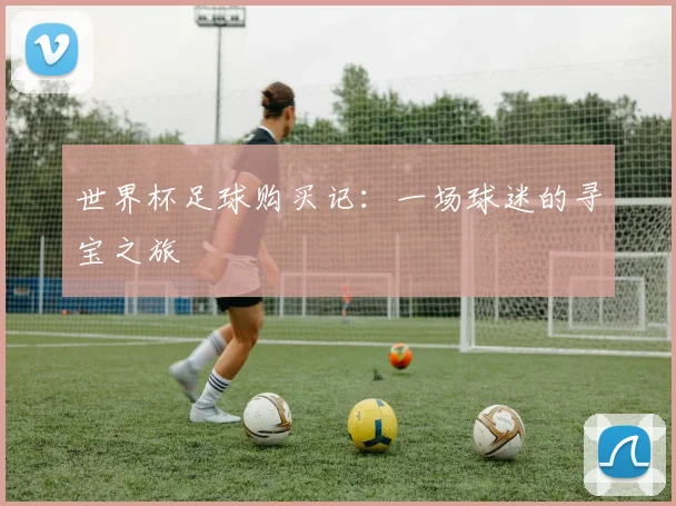 世界杯足球购买记：一场球迷的寻宝之旅